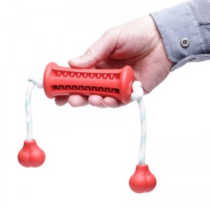 Дентальная резиновая игрушка для собак «Oral health»